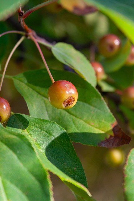 22-23賽季英超聯賽第3輪比賽集錦.