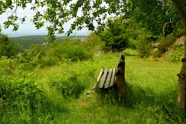 这项传统乒乓赛事为何能频频出现在上海少年的青春纪念册里？.