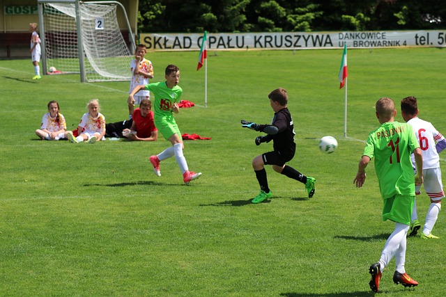 冰球／2萬加拿大球迷噓爆美國歌 美加球員9秒內3度打架.