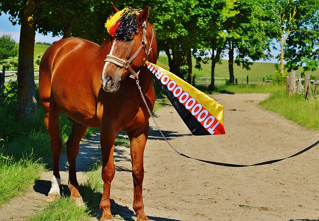 现代足球发 现代足球发