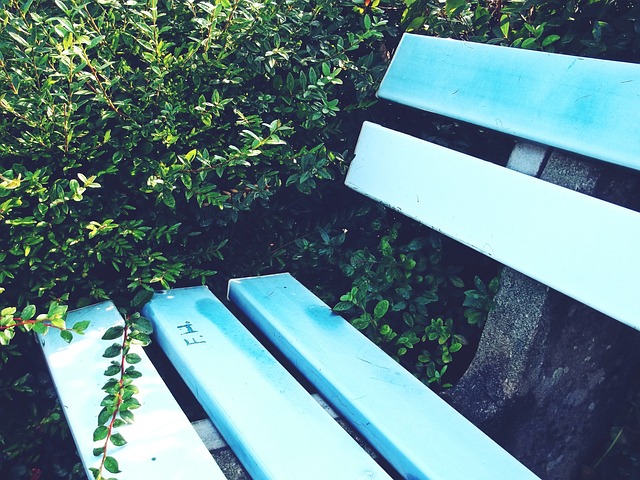 来究竟会怎 来究竟会怎