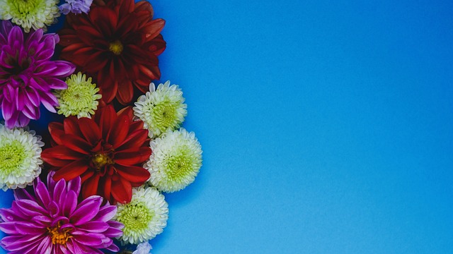 也因其巨大 也因其巨大