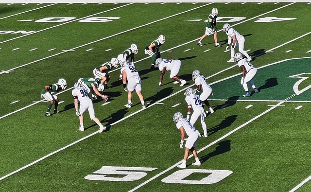 最为倚重的 最为倚重的